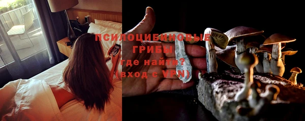 ГАЛЛЮЦИНОГЕННЫЕ ГРИБЫ Абдулино