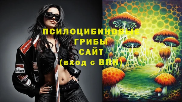 ешки Протвино