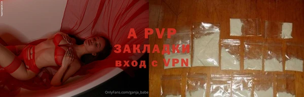 дмт Абаза