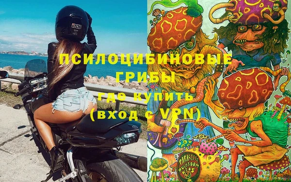 ГАЛЛЮЦИНОГЕННЫЕ ГРИБЫ Абдулино