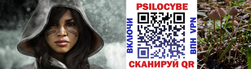 Псилоцибиновые грибы прущие грибы Темников